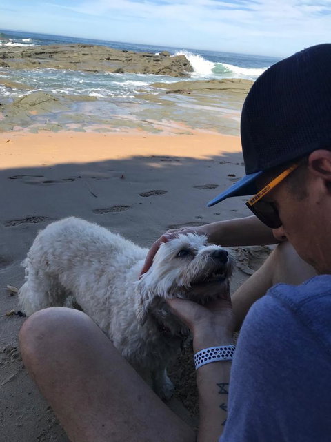 Beautiful, Cosy And Quiet - Sydney Tourism 34