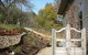 Saje\'s House & Pod - thumb 11