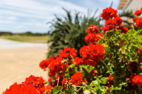 Cottages For Couples - Sydney Tourism 13