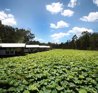 The Boathouses at Leaves  Fishes - Sydney Tourism