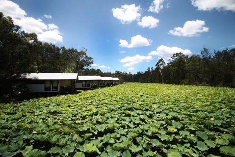 The Boathouses At Leaves & Fishes - Sydney Tourism 0