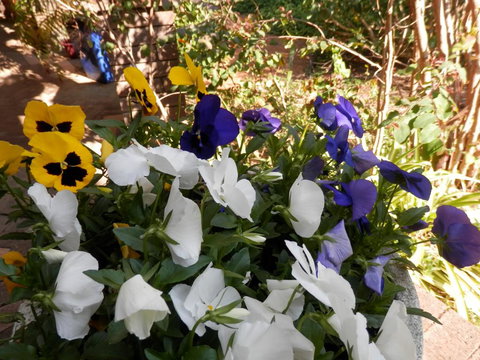 The Hideaway Luxury B&B Retreat - Sydney Tourism 1