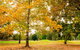 The Retreat At Wisemans - thumb 1