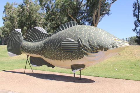 Tocumwal Hotel Motel (The Palms) - Sydney Tourism 1