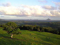 Book Maleny Accommodation Vacations Sydney Tourism Sydney Tourism