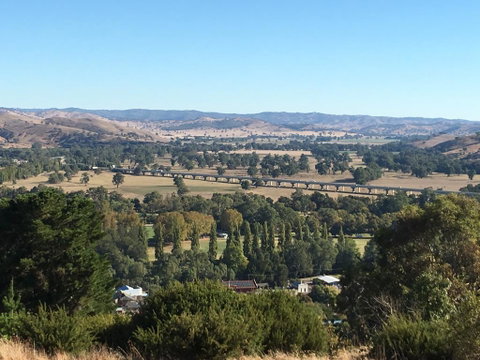 Tuckerbox Motor Inn - Sydney Tourism 3