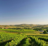 Turners Vineyard Motel - Sydney Tourism