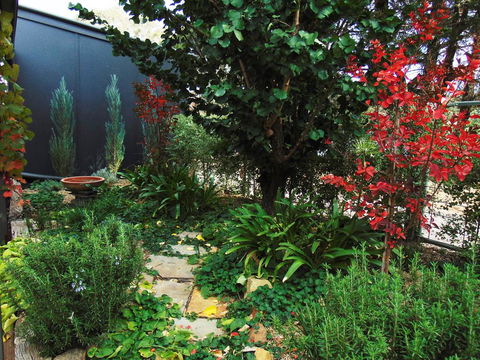 Twin Palms Castlemaine - Sydney Tourism 1