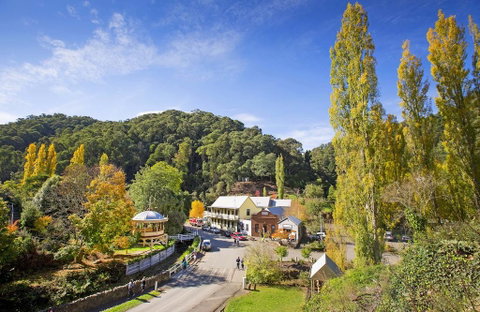 Walhalla's Star Hotel - Sydney Tourism 0