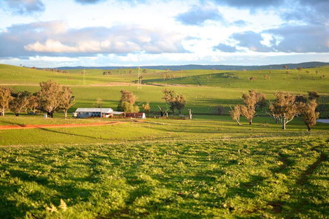 Wantana Cottage Farmstay - Sydney Tourism 0