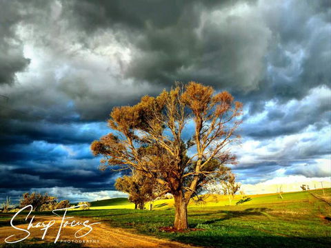 Wantana Cottage Farmstay - Sydney Tourism 2