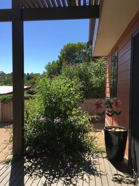 Daydream Cottage - Sydney Tourism 10