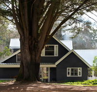 The Orchard - Sydney Tourism