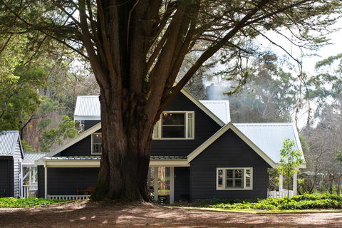 The Orchard - Sydney Tourism 0