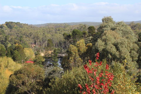 The Orchard - Sydney Tourism 28