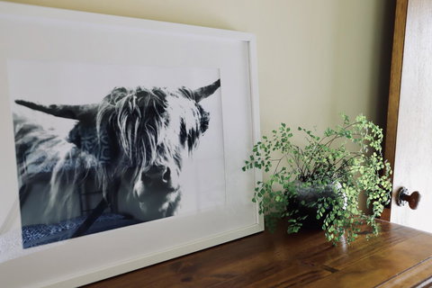 Red Ceder Cottage - Great Ocean Road - Port Campbell - Sydney Tourism 5