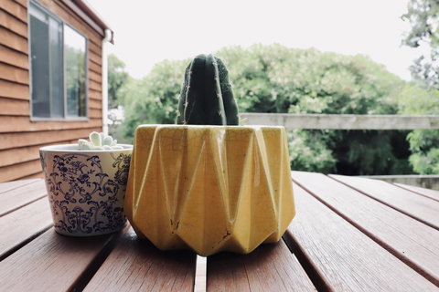 Red Ceder Cottage - Great Ocean Road - Port Campbell - Sydney Tourism 21