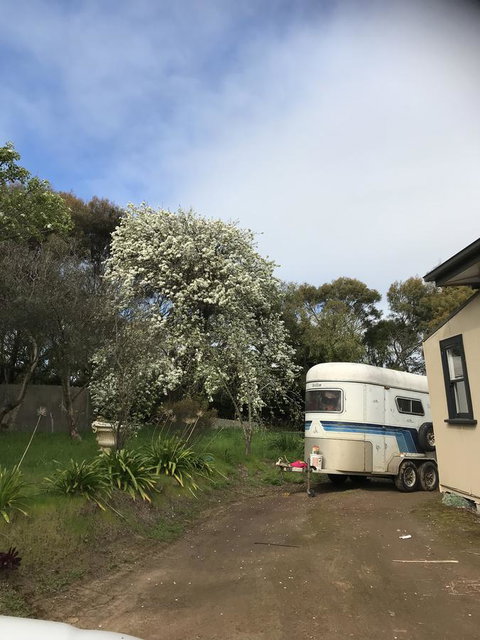 Hillâ€™s Creek Holiday Home - Sydney Tourism 6