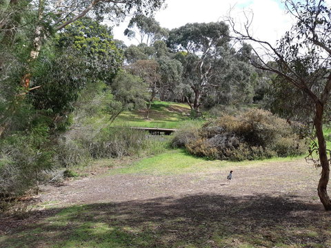 Elevated Holiday House Overlooks Tranquil Wetlands - Sydney Tourism 11