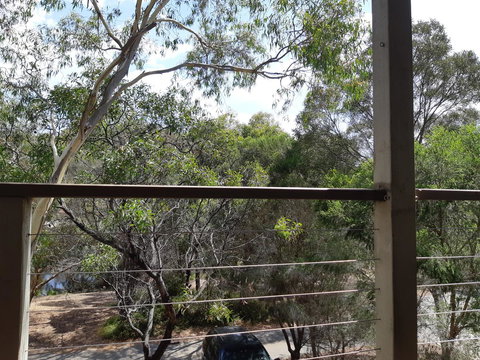 Elevated Holiday House Overlooks Tranquil Wetlands - Sydney Tourism 10