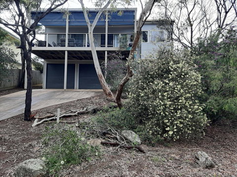Elevated Holiday House Overlooks Tranquil Wetlands - Sydney Tourism 0
