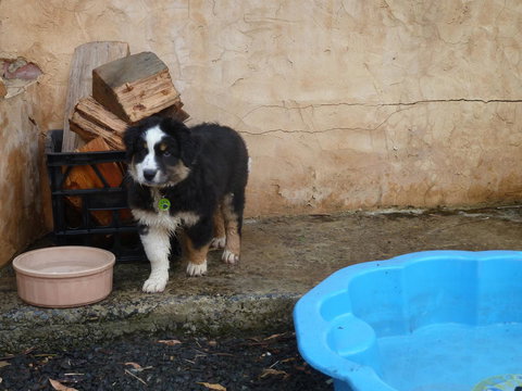 Bundjil Studio - Sydney Tourism 15