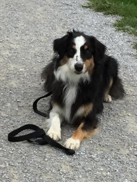 Bundjil Studio - Sydney Tourism 14