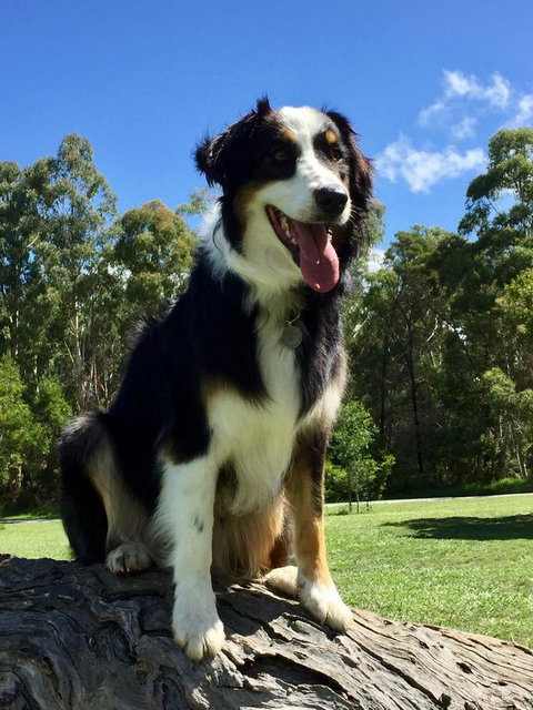 Bundjil Studio - Sydney Tourism 13