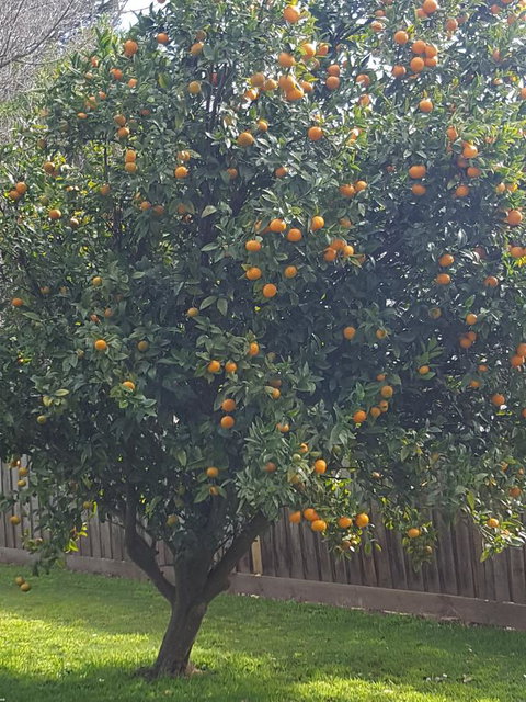 Juliet House - Sydney Tourism 21