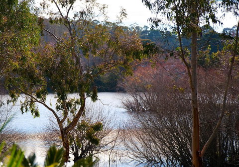 Lake Como Villa - Sydney Tourism 10