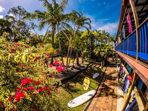 Cool Bananas Backpackers - Sydney Tourism 17