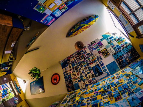 Cool Bananas Backpackers - Sydney Tourism 29