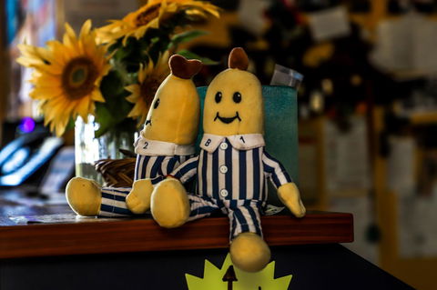 Cool Bananas Backpackers - Sydney Tourism 30