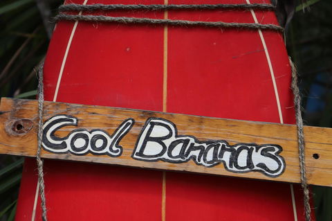 Cool Bananas Backpackers - Sydney Tourism 41
