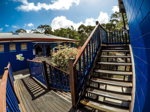 Cool Bananas Backpackers - Sydney Tourism 27