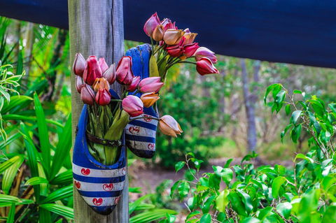 Cool Bananas Backpackers - Sydney Tourism 26