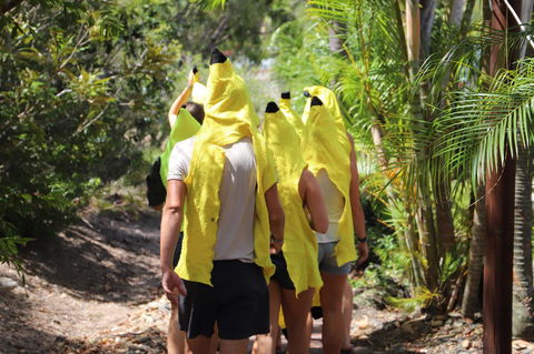 Cool Bananas Backpackers - Sydney Tourism 19