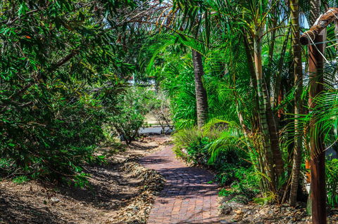 Cool Bananas Backpackers - Sydney Tourism 15