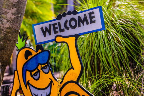 Cool Bananas Backpackers - Sydney Tourism 37