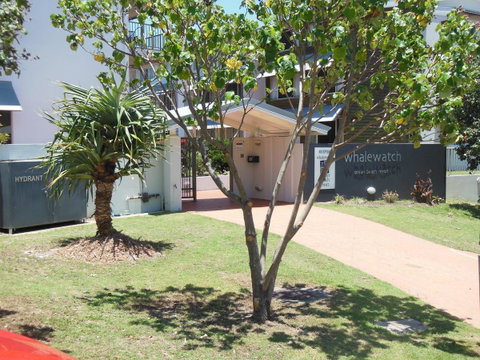 Whale Watch Ocean Beach Resort - Sydney Tourism 14