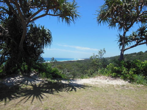 Whale Watch Ocean Beach Resort - Sydney Tourism 3