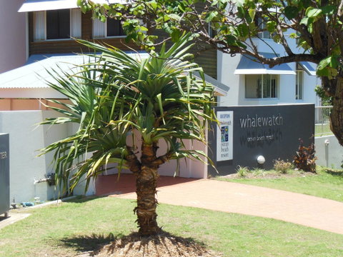 Whale Watch Ocean Beach Resort - Sydney Tourism 15