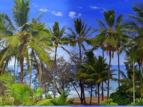 By The Sea Port Douglas - Sydney Tourism 3