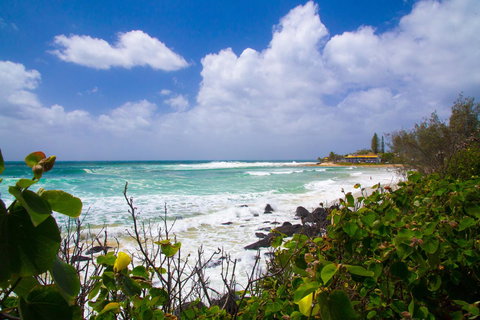 Rainbow Bay Backpackers - Sydney Tourism 0
