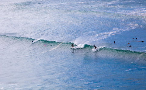 Rainbow Bay Backpackers - Sydney Tourism 27