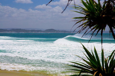 Rainbow Bay Backpackers - Sydney Tourism 20