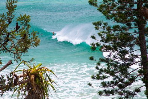Rainbow Bay Backpackers - Sydney Tourism 15