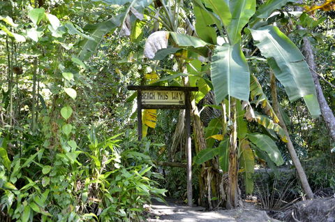 PK\'s Jungle Village - Sydney Tourism 23