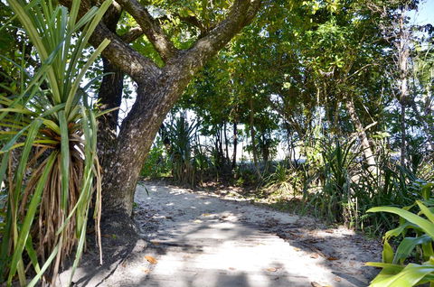 PK\'s Jungle Village - Sydney Tourism 28