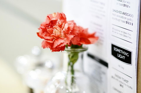 Madison Plaza Townsville - Sydney Tourism 20